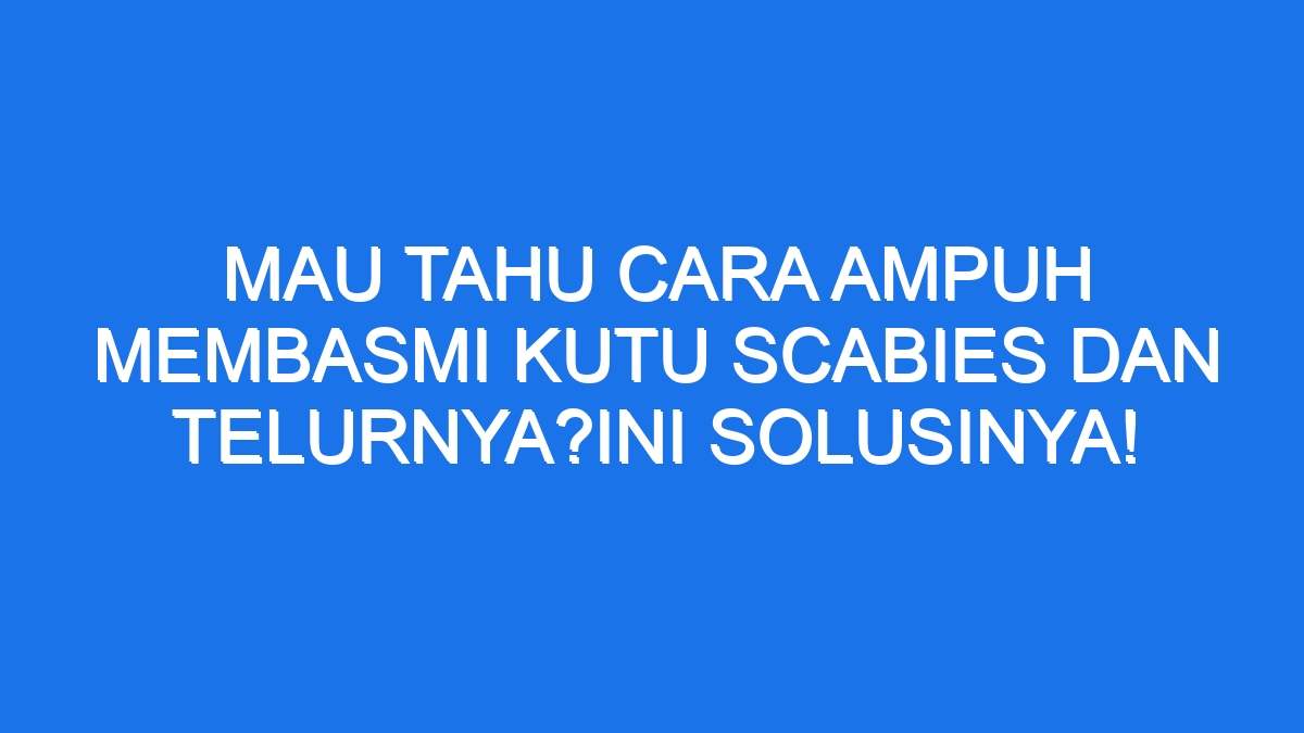 Mau Tahu Cara Ampuh Membasmi Kutu Scabies Dan Telurnya Ini Solusinya