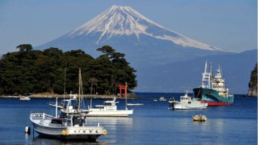 Usai Gempa 7,1 Magnitudo, Tsunami Setinggi 1 Meter Menghantam Kochi dan Miyazaki