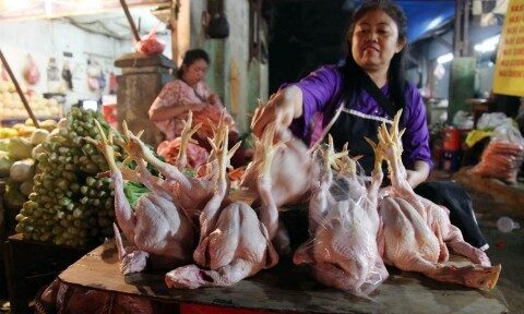 Daging Ayam Ras Naik Jadi Rp41.080/Kg, Peternak Diuntungkan Usai Lonjakan Harga