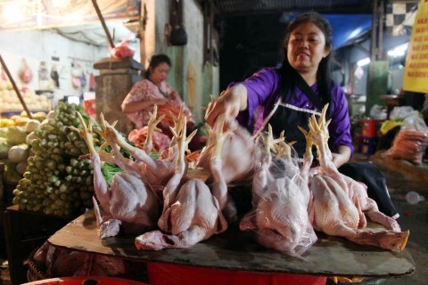 Daging Ayam Ras Naik Jadi Rp41.080/Kg, Peternak Diuntungkan Usai Lonjakan Harga