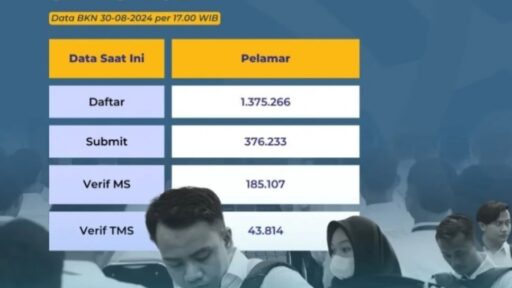 Data Statistik Pelamar CPNS 2024: 5 Daerah Sepi Pelamar dan Peluang Lolos Lebih Besar!