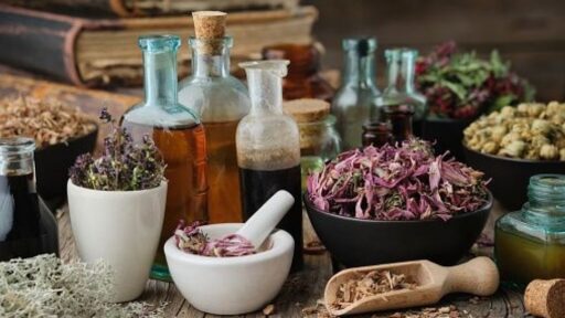 Mengenal Herbal Legendaris Berusia Satu Abad: Fakta dan Khasiatnya yang Mengejutkan