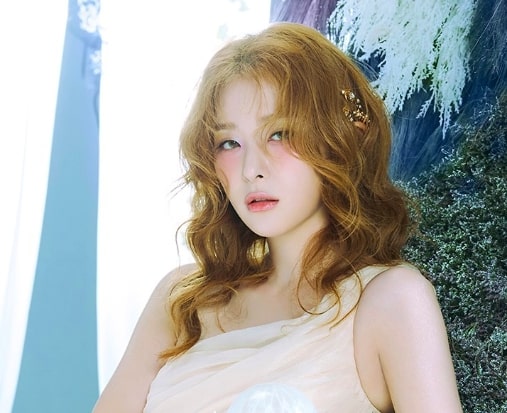 Perdana! Seulgi Red Velvet Gelar Pameran Fotografi 'Nothing Special but Special'