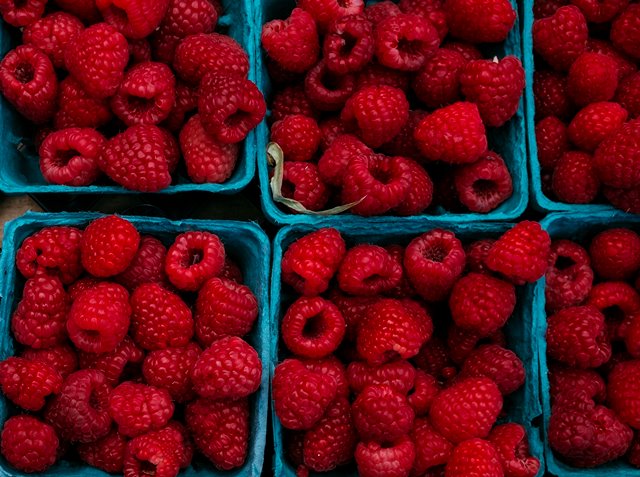 BRIN Ungkap Potensi Raspberry Indonesia untuk Kesehatan dan Peningkatan Ekonomi Nasional