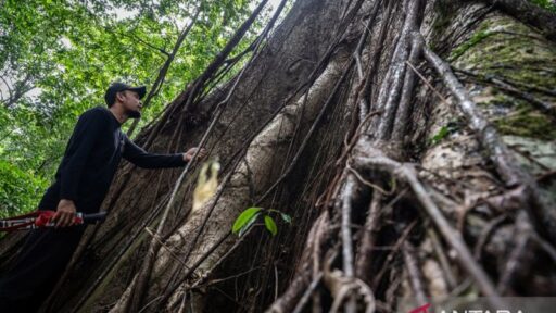 Kalsel Ajak Generasi Muda Bentuk Meratus Geopark Youth Forum untuk Pelestarian Alam