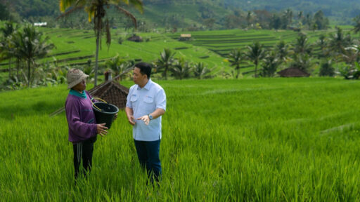 Krusial! Peran Profesi Petani dalam Mewujudkan Ketahanan Pangan Nasional