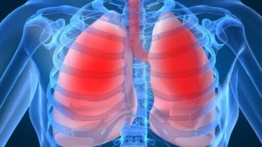 Mengenal Mycoplasma Pneumonia: Kasus Meningkat Drastis di Jepang, Waspada Penyebarannya!