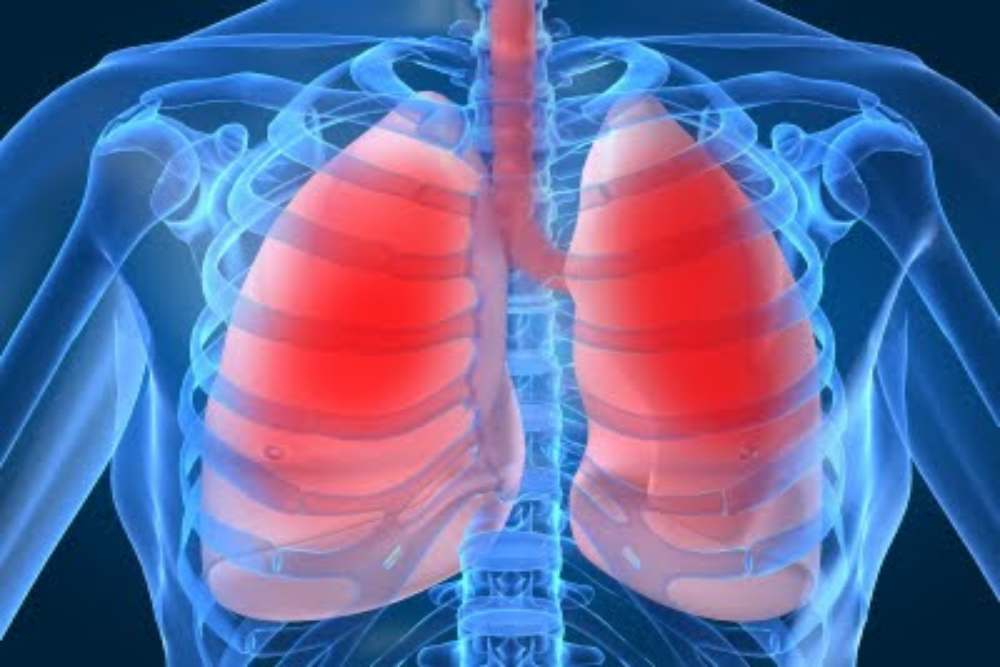 Mengenal Mycoplasma Pneumonia: Kasus Meningkat Drastis di Jepang, Waspada Penyebarannya!